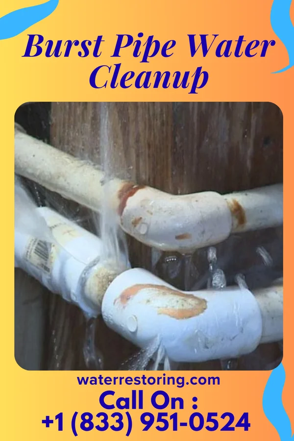 Burst Pipe Water Cleanup in Royersford, PA