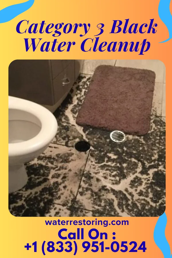 Category 3 Black Water Cleanup in Royersford, PA