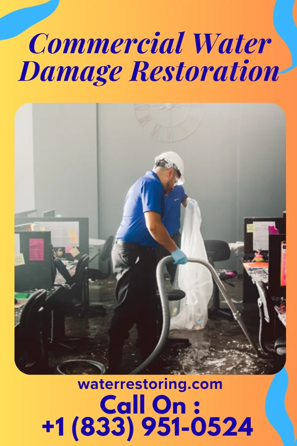Commercial Water Damage Restoration in Royersford, PA
