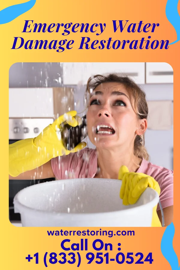 Emergency Water Damage Restoration in Royersford, PA