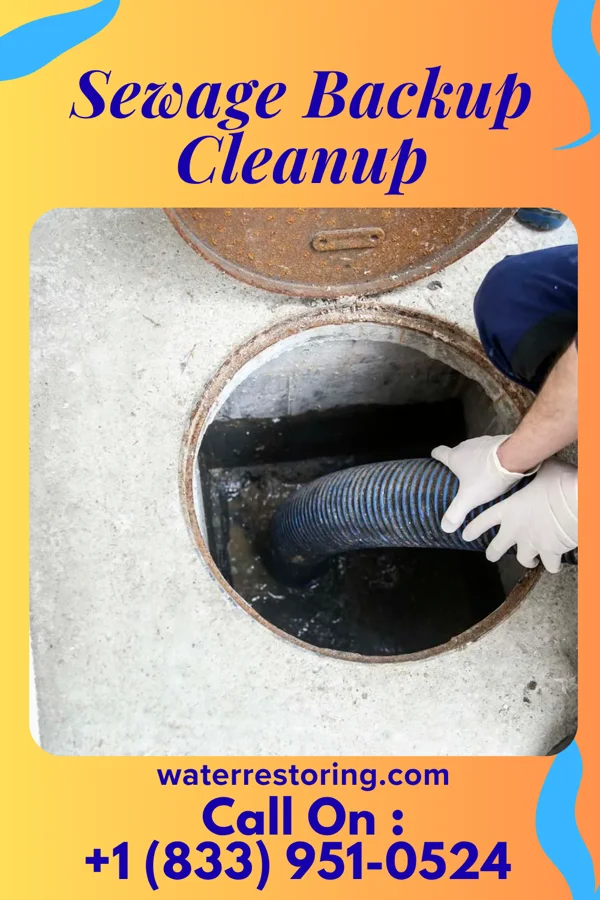 Sewage Backup Cleanup in Royersford, PA