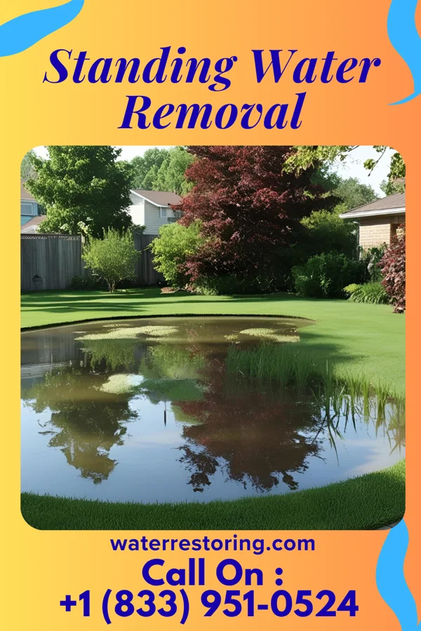 Standing Water Removal in Royersford, PA